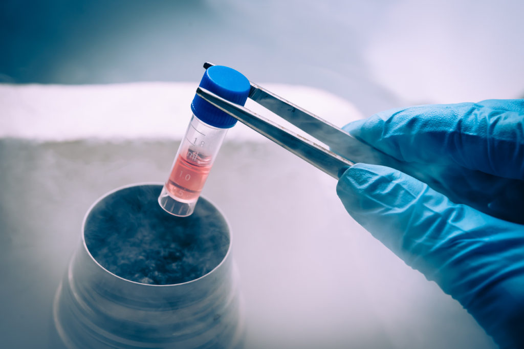Cell bank resilience supported by vapor phase liquid nitrogen storage in a mammalian cell culture facility