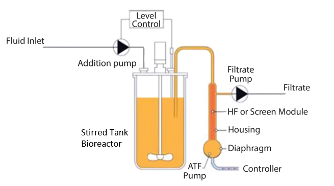 Stirred Tank Bioreactor with ATF attachment. (Image: Bonham-Carter and Shevitz, 2011)