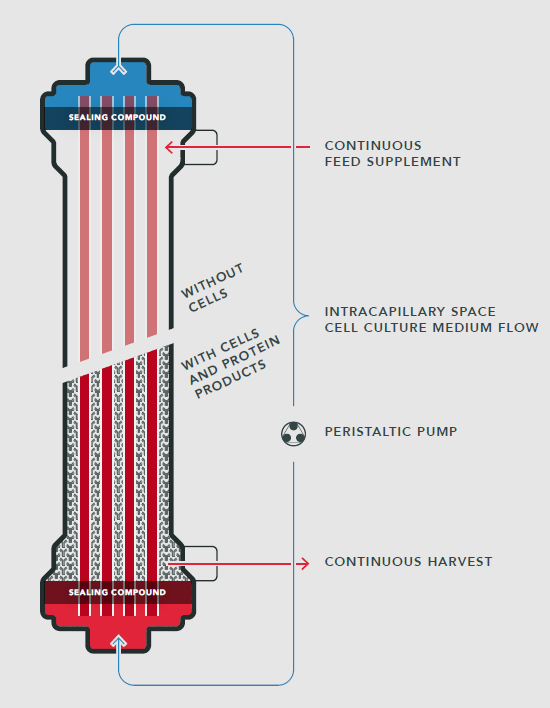 Hollow Fiber Bioreactor